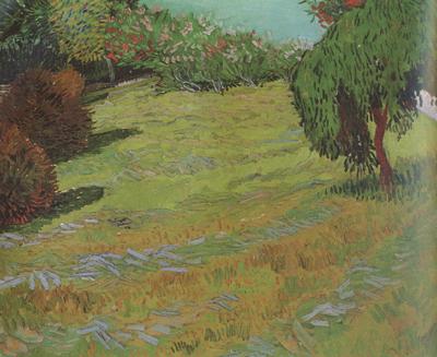 Vincent Van Gogh Sunny Lawn in a Public Pack (nn04) oil painting image